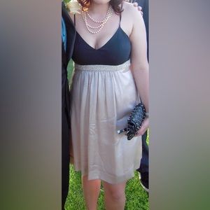 Maria Bianca Nero Dress with Champagne Silk and Black Top (Nordstroms)